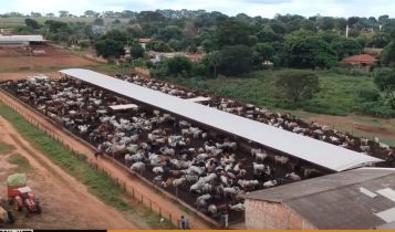 confinamento do frigorifico eldorado na cidade de ipigua