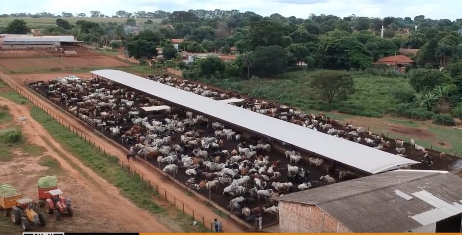 confinamento do frigorifico eldorado na cidade de ipigua