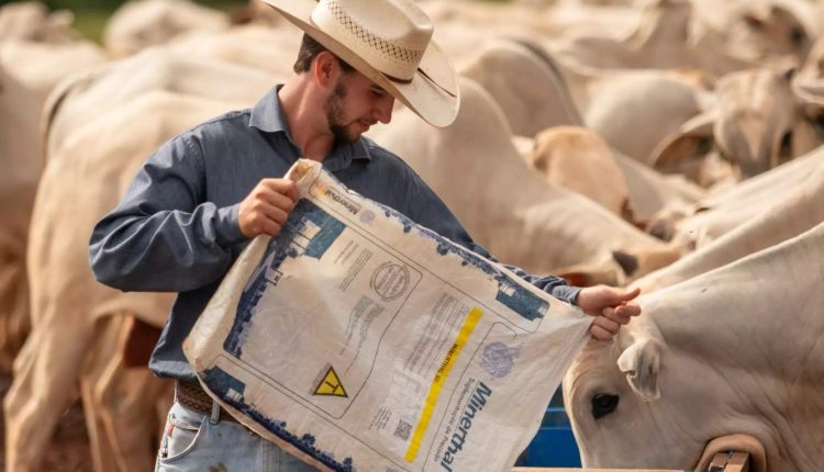 Qual o melhor suplemento mineral para o seu rebanho?