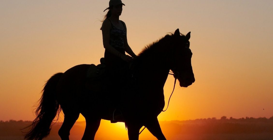 As melhores raças de cavalos para cavalgadas