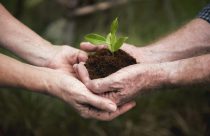 Dia Mundial do Meio Ambiente: Conscientização e o papel sustentável da pecuária
