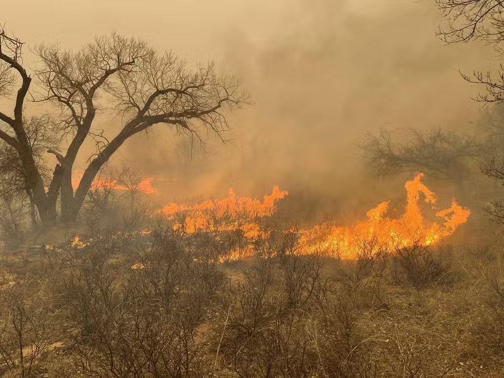 El Niño: os eventos extremos mais danosos do último ano