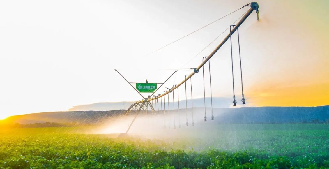 plano safra e irrigação