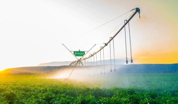 plano safra e irrigação