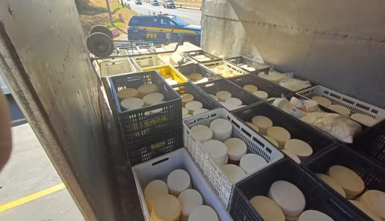 Apreensão em SP: Polícia descobre quase mil queijos falsos em operação contra fraudes