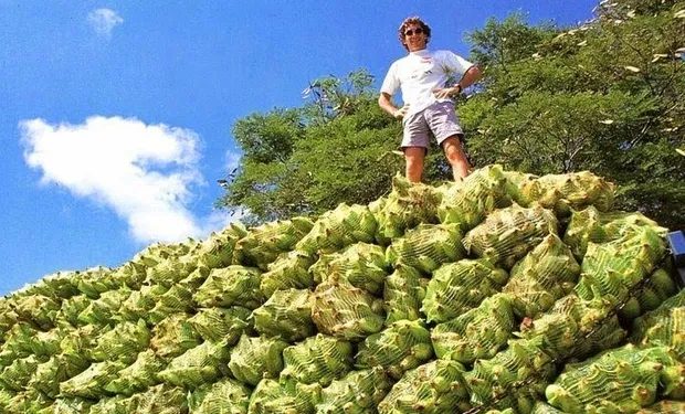 Conheça a fazenda do campeão de corrida Ayrton Senna