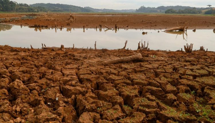 Especialistas discutem melhorias na gestão de risco climático na agricultura 