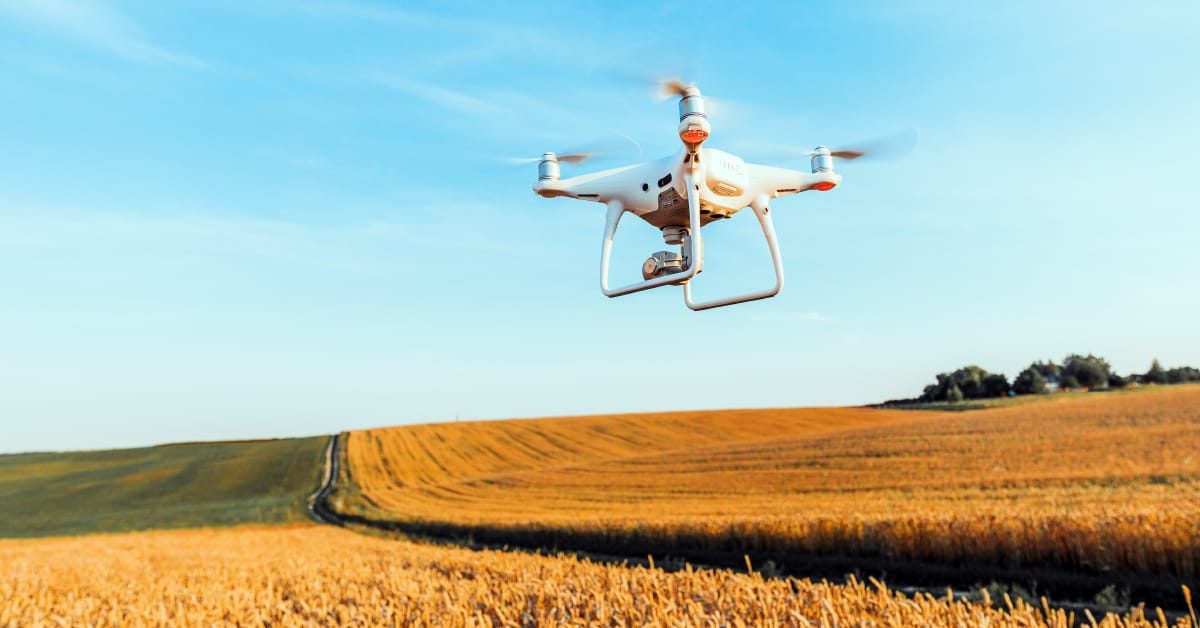 Drone agrícola: tipos e vantagens de usar na sua plantação