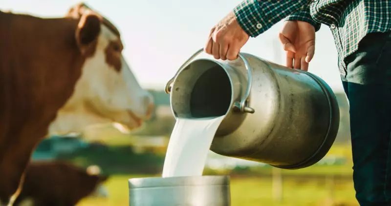 Transformações na estrutura da produção de leite no Brasil