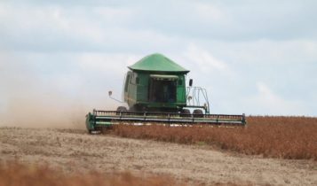 Reputação no agronegócio internacional: é possível mensurar o intangível?