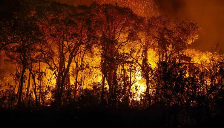 O combate ao fogo começa com uma boa gestão