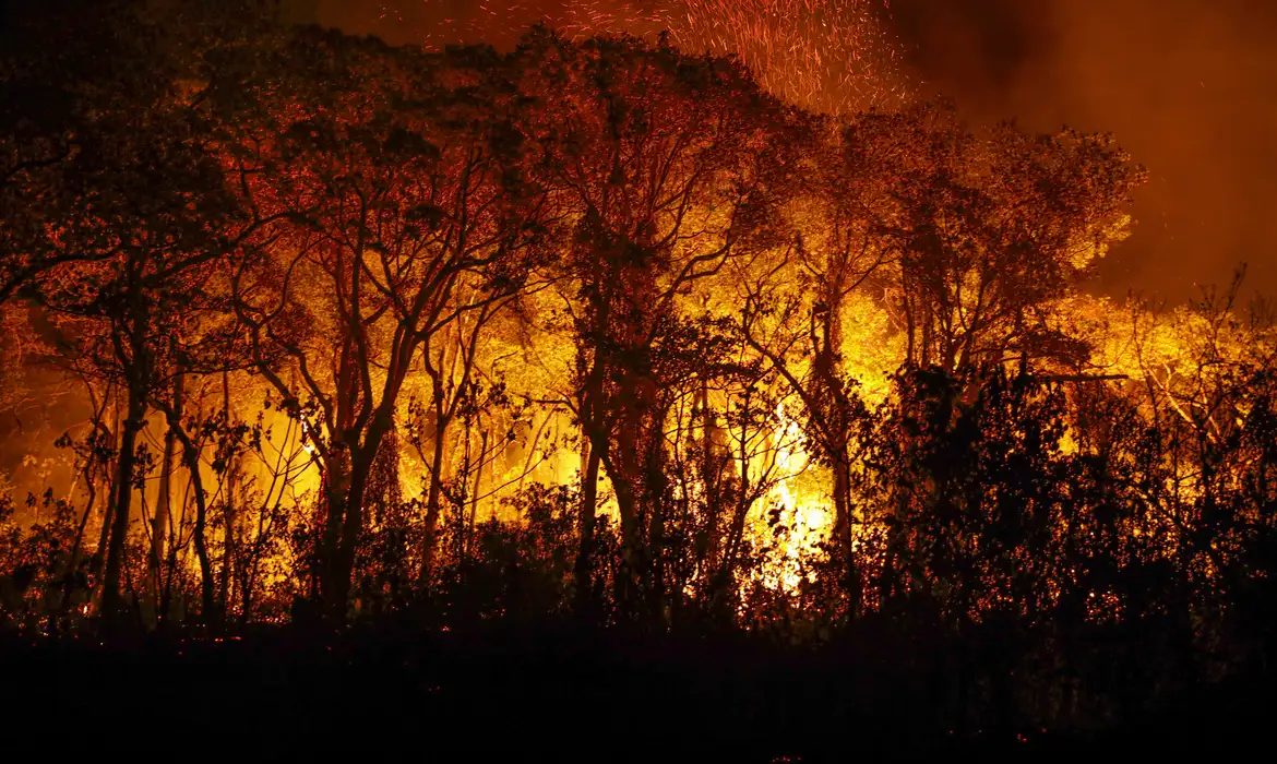 O combate ao fogo começa com uma boa gestão