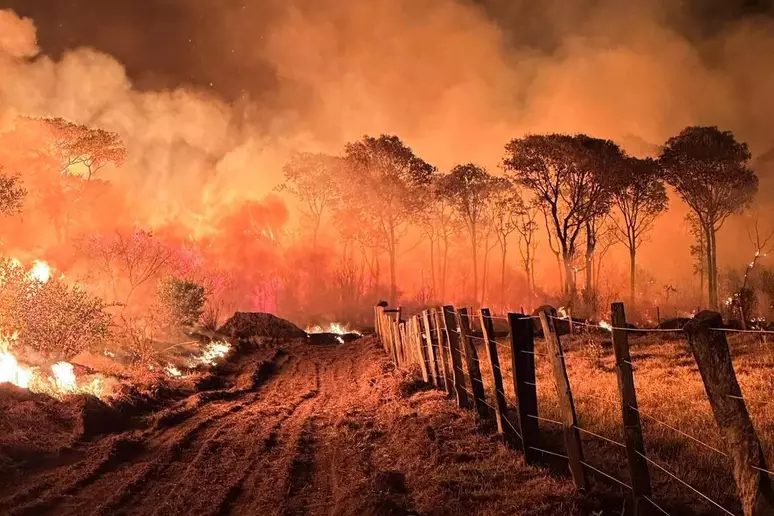 A temporada seca começou no Pantanal com um cenário alarmante, com chuvas abaixo do esperado e uma vegetação mais seca do que o usual, a previsão de aumento dos incêndios florestais já era evidente. 