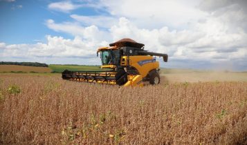 Estimativa de maio aponta safra 5,9% menor em 2024, refletindo os problemas climáticos do ano