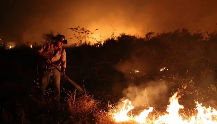 Incêndios no Pantanal se antecipam e surpreendem brigadas ainda em contratação