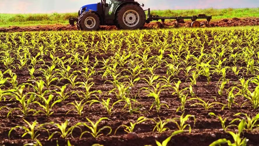 Mudanças climáticas redesenham a agricultura brasileira