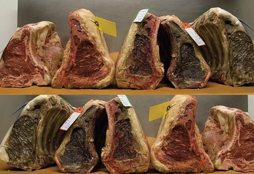 Descubra a diferença da maturação Wet Aged vs Dry Aged