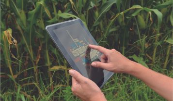 Startups do Agro: o que são, quais os tipos e como investir em uma