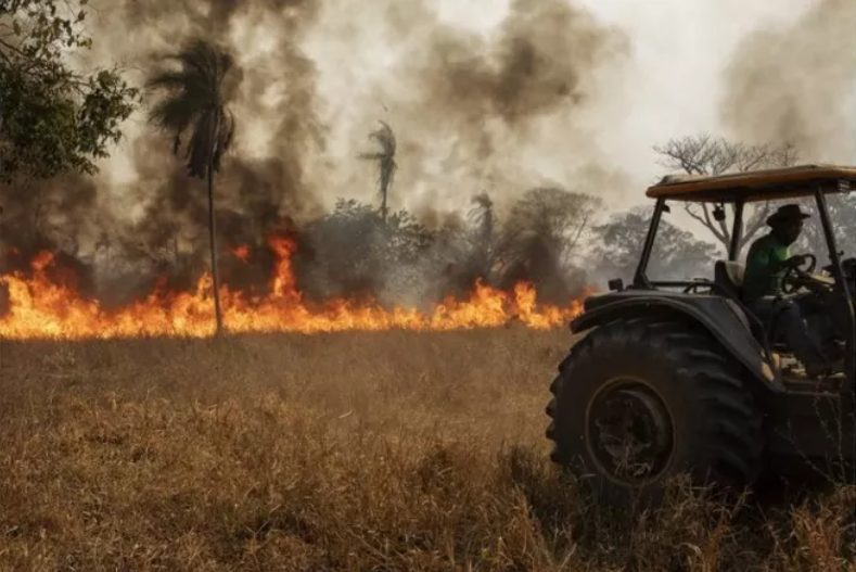 Pantanal: incêndios já consumiram mais de 15% do bioma em 2024