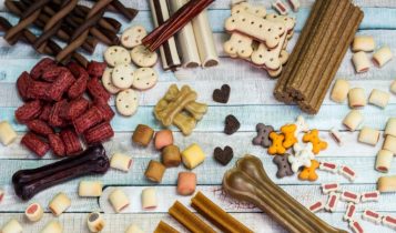 Brasil abre mercado para exportação de pet foods derivados de produtos lácteos