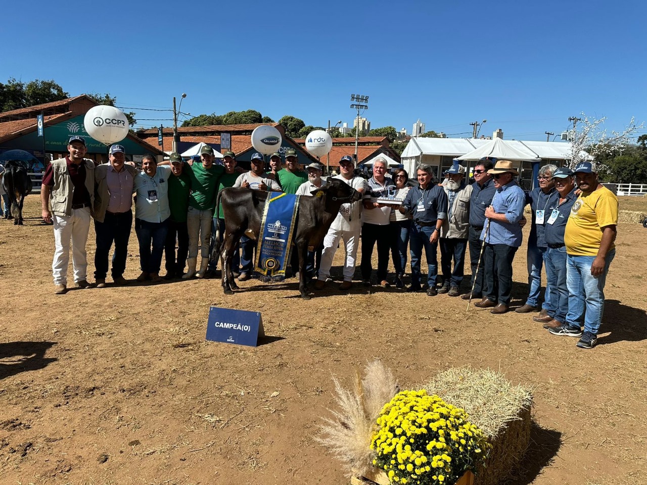 Fazenda leiteira premiada produz 5 mil litros de leite por dia; veja o segredo