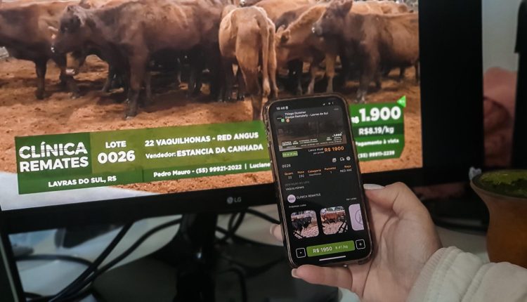 App Rematefy revoluciona leiloes virtuais com novas ferrramentas