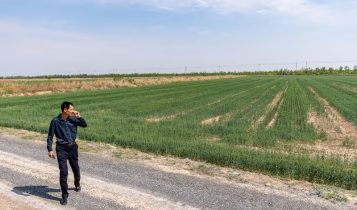 China transforma terra improdutiva