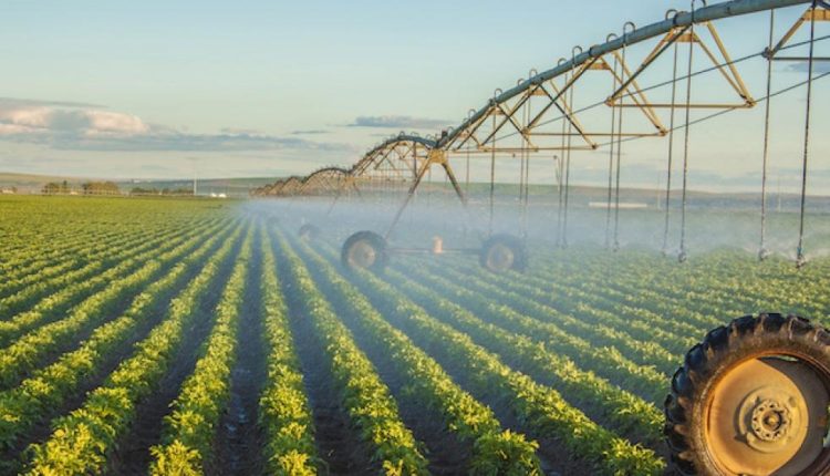 Dessalinização: urgência para o agro brasileiro?