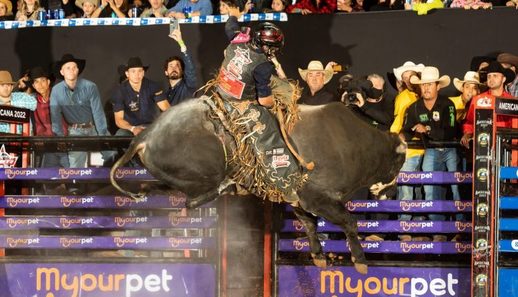 Touro Reza a Lenda pulando em rodeio de Americana