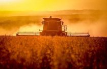 reforma tributária Entenda por que a Reforma Tributária tende a impulsionar a locação de máquinas agrícolas