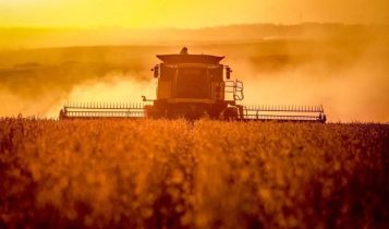 reforma tributária Entenda por que a Reforma Tributária tende a impulsionar a locação de máquinas agrícolas