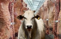 Exportadores de carne bovina do Brasil miram Coreia do Sul, mercado que paga até US$ 10 mil/t