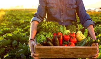 investimento no setor de alimentício