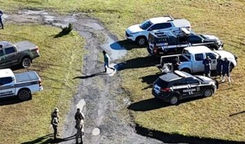 criatório de javalis