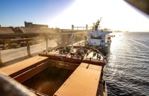 Soja e celulose puxam balança comercial de MS e exportações superam US$ 5 bilhões no ano