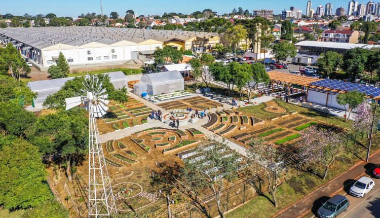 Sancionada lei que cria Política Nacional de Agricultura Urbana