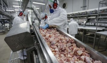 Nos primeiros cinco meses deste ano, essas exportações alcançaram US$ 733 milhões; 51% desse valor corresponde ao setor de carnes.