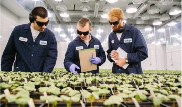 Inteligência Artificial impulsiona biotecnologia e sustentabilidade no agro