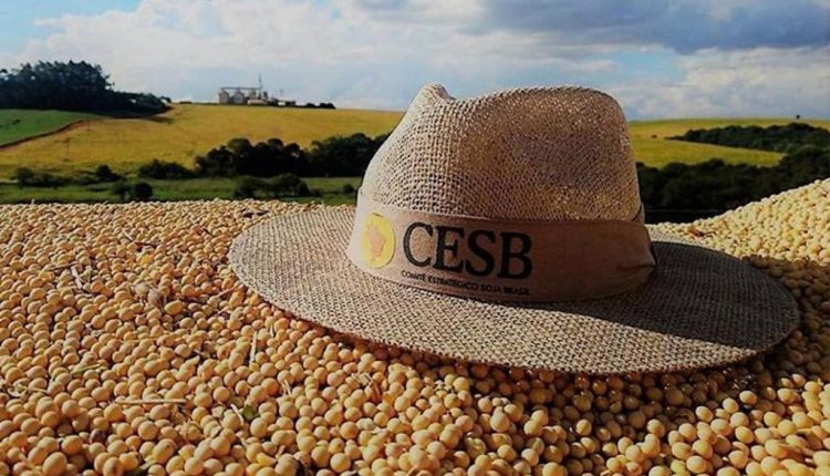 Com produtos da Mosaic, agricultor se tornou campeão do desafio nacional da máxima produtividade de soja