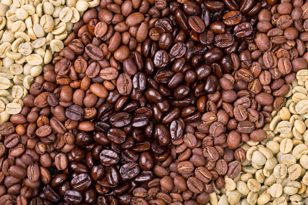 Tipos de Café: Principais variedades para conhecer