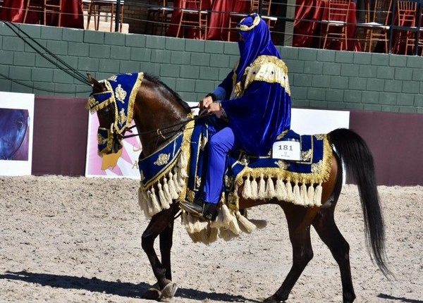 Exposição de cavalos árabes atrai até xeiques ao interior de SP