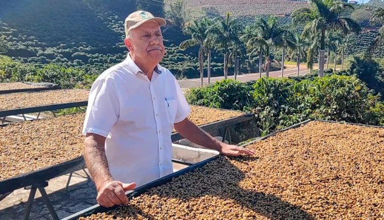 Fazenda das Almas, em Cabo Verde, no Sul de Minas, conta com duas unidades demonstrativas de pesquisas da Epamig, empresa do Governo de Minas