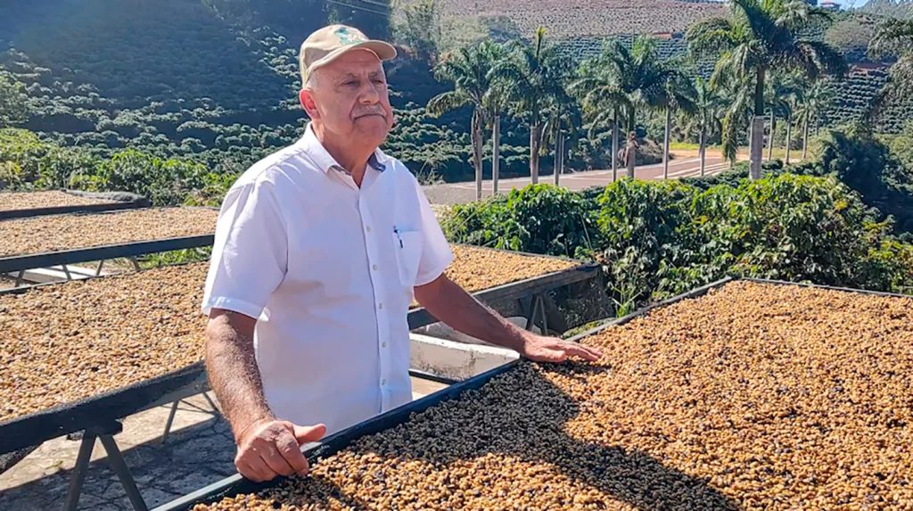 Café mineiro conquista paladar chinês e é exportado