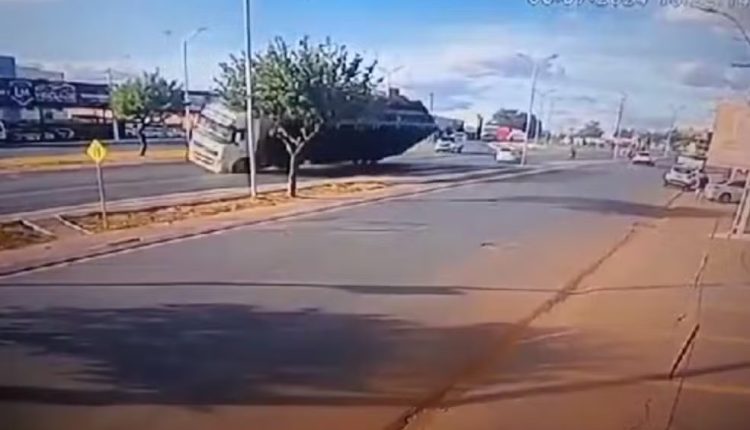 VÍDEO: Carro e moto escapam por pouco de colisão com carreta transportando bois