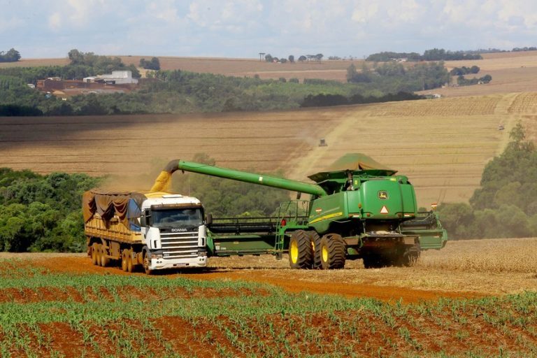 Setor agropecuário reduz demanda por trabalho básico e busca profissionais qualificados