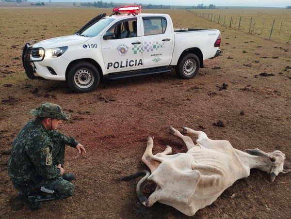 multa por maus tratos a animais 