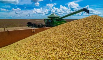 Abiove eleva previsão de produção de soja em 700 mil toneladas