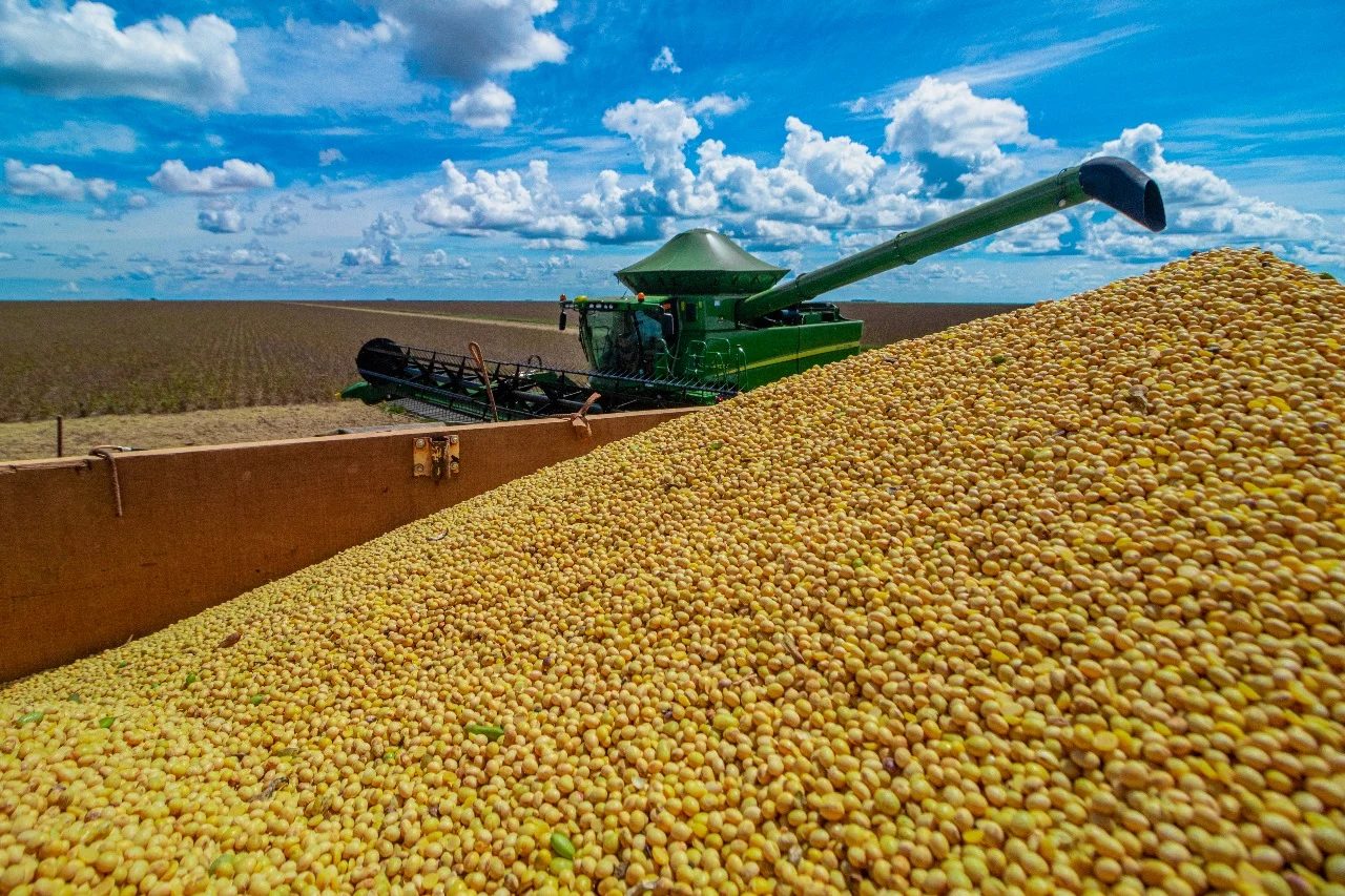 Abiove eleva previsão de produção de soja em 700 mil toneladas