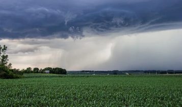 IA desenvolve bioestimulante para clima adverso, em breve no Brasil