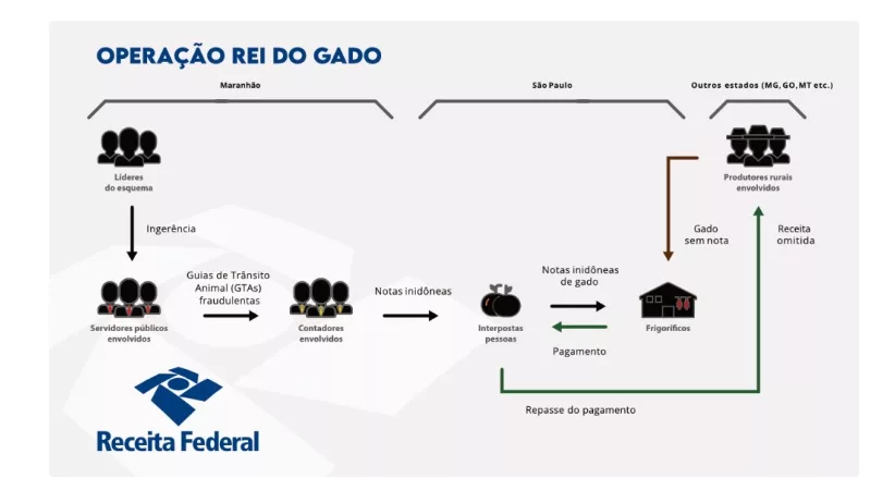 Receita Federal investiga sonegação de quase R$ 1 bi na comercialização de gado